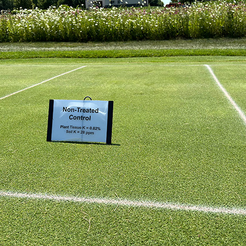 turf field trials