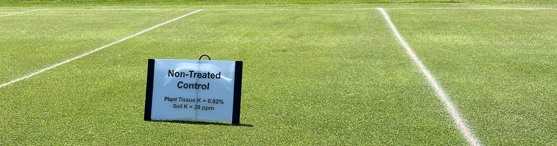 turf field trials
