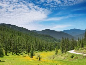 shutterstock_8475838 shutterstock_8475838
