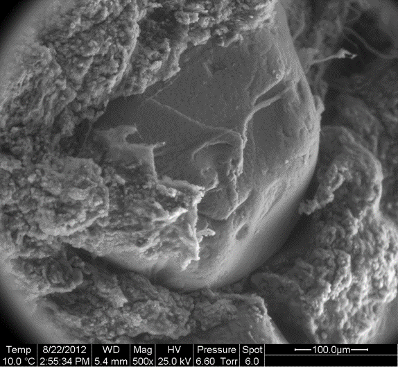 soil particle with organic coating soil particle with organic coating